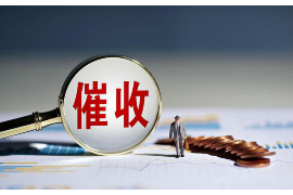 安宁对付老赖：刘小姐被老赖拖欠货款