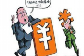 安宁安宁的要账公司在催收过程中的策略和技巧有哪些？